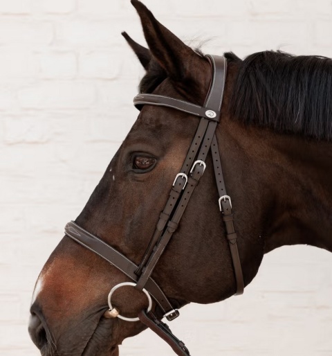 Ogłowie myśliwskie Dy'on Cavesson Hunter - wszechstronne