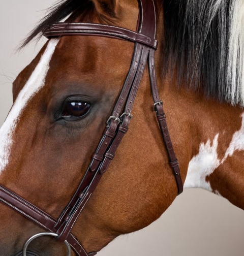 Ogłowie Dy'on Cavesson US Hunter