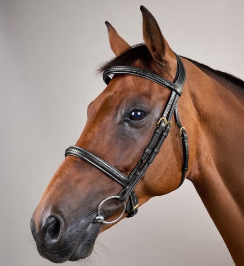 Ogłowie Dy'on D Collection Plaited - bez skośnika