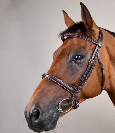 Ogłowie Dy'on D Collection Plaited - bez skośnika