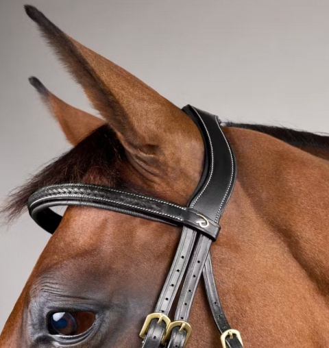 Ogłowie Dy'on D Collection Plaited - bez skośnika