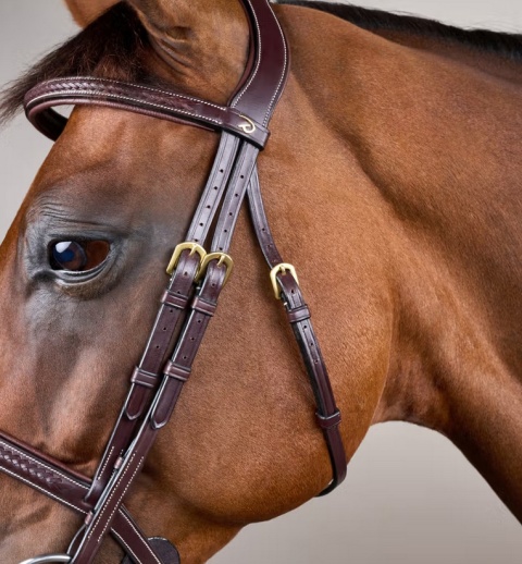 Ogłowie Dy'on D Collection Plaited - bez skośnika