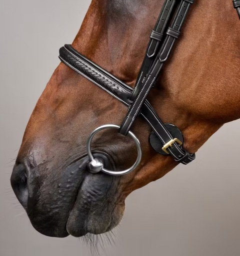 Ogłowie Dy'on D Collection Plaited - bez skośnika