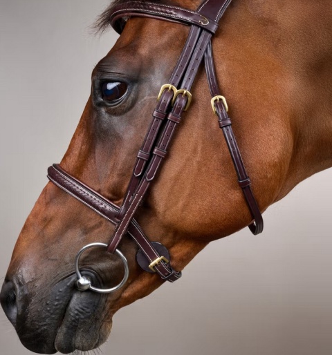 Ogłowie Dy'on D Collection Plaited - bez skośnika