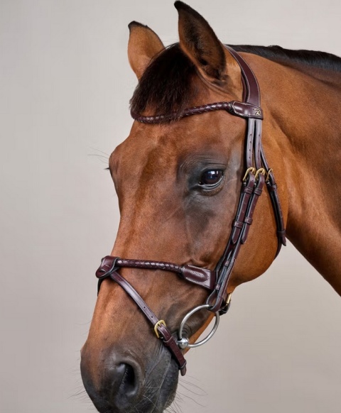 Ogłowie Dy'on D Collection z nachrapnikiem angielskim i plecionym naczółkiem