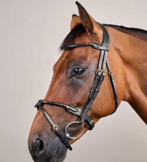 Ogłowie Dy'on D Collection z nachrapnikiem angielskim i plecionym naczółkiem