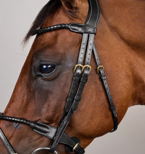 Ogłowie Dy'on D Collection z nachrapnikiem angielskim i plecionym naczółkiem