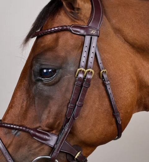 Ogłowie Dy'on D Collection z nachrapnikiem angielskim i plecionym naczółkiem