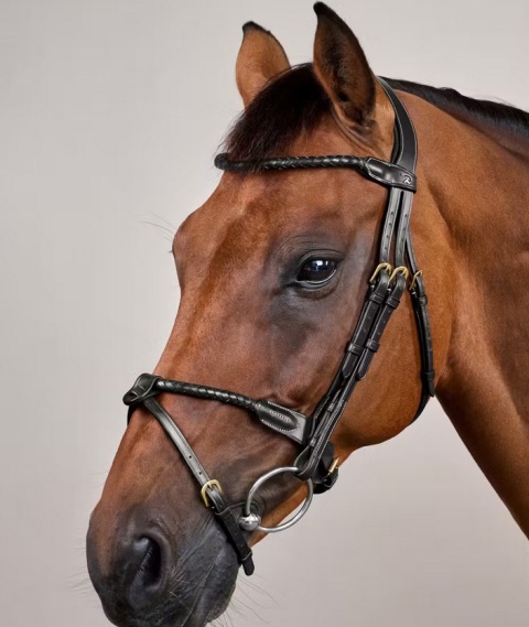 Ogłowie Dy'on D Collection z nachrapnikiem angielskim i plecionym naczółkiem