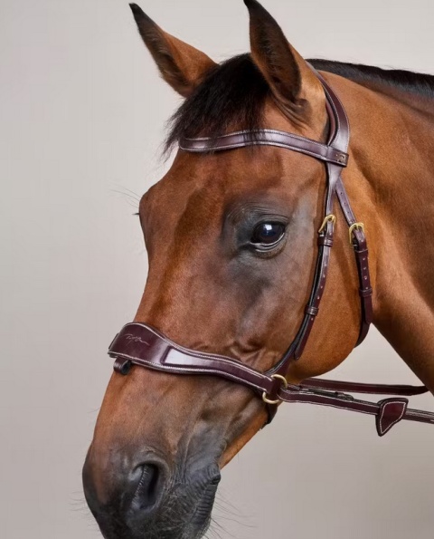 Ogłowie Dy'on D Motion - kolekcja D Collection