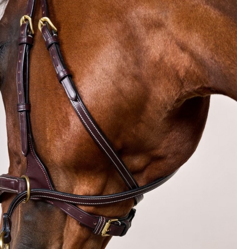 Ogłowie Dy'on D Motion - kolekcja D Collection