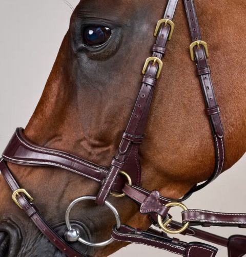 Ogłowie Dy'on D Motion - kolekcja D Collection