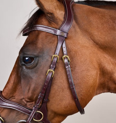 Ogłowie Dy'on D Motion - kolekcja D Collection