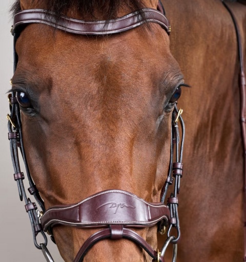 Ogłowie Dy'on D Motion - kolekcja D Collection