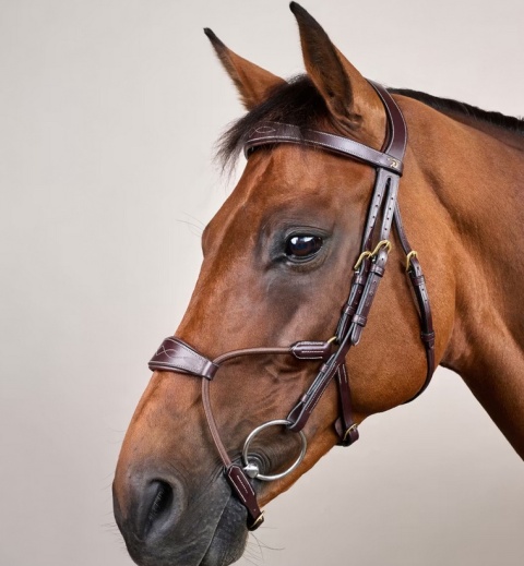 Ogłowie Dy'on Elastic Hybrid D Collection