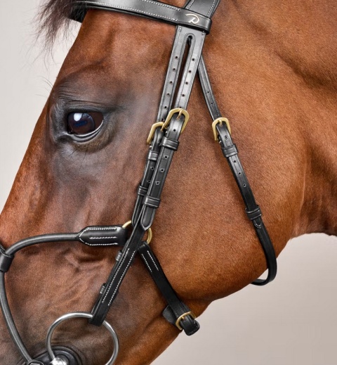 Ogłowie Dy'on Elastic Hybrid D Collection