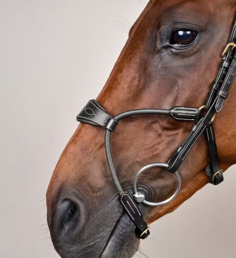 Ogłowie Dy'on Elastic Hybrid D Collection