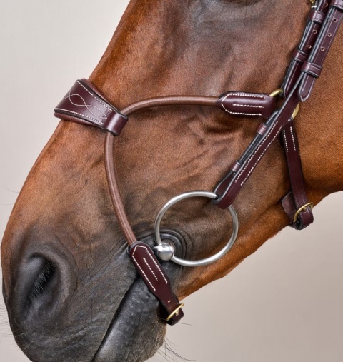 Ogłowie Dy'on Elastic Hybrid D Collection