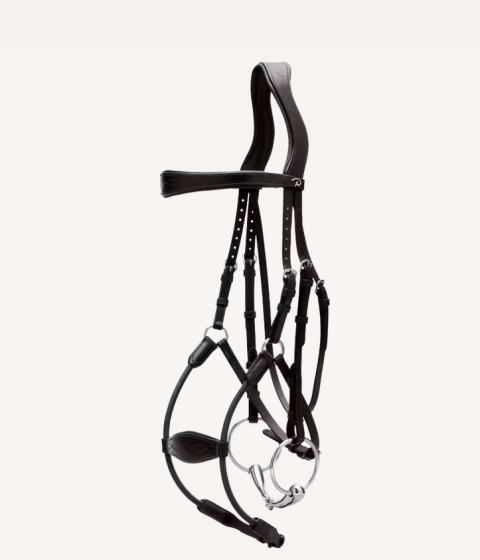 Ogłowie Dy'on Elastic Hybrid New English