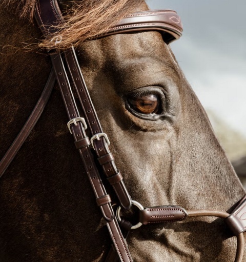 Ogłowie Dy'on Elastic Hybrid New English