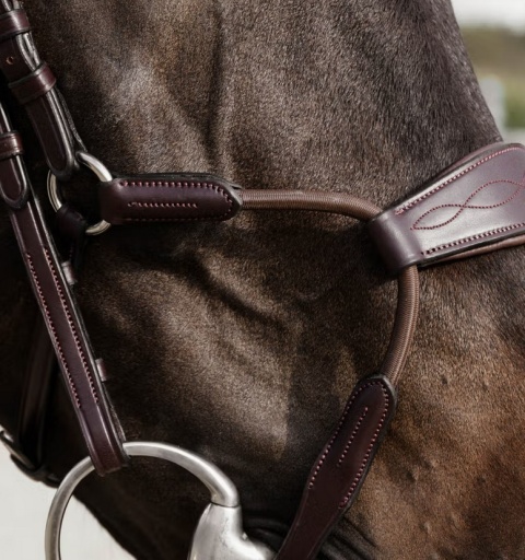 Ogłowie Dy'on Elastic Hybrid New English