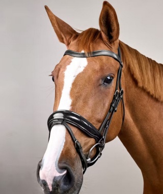 Ogłowie anatomiczne Dy'on Patent Large Crank Noseband