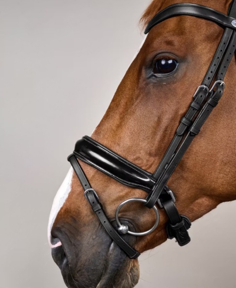 Ogłowie anatomiczne Dy'on Patent Large Crank Noseband