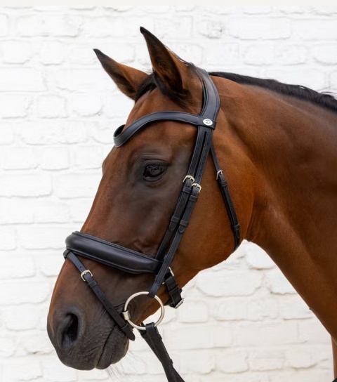 Ogłowie Dy'on Soft Leather z nachrapnikiem kombinowanym