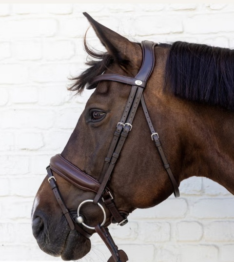 Ogłowie Dy'on Soft Leather z nachrapnikiem kombinowanym