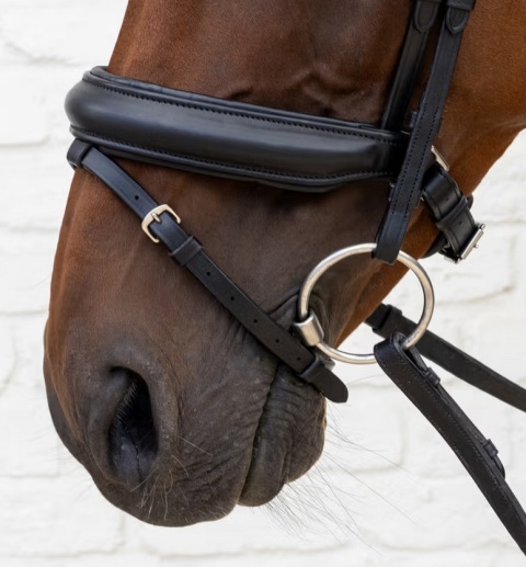 Ogłowie Dy'on Soft Leather z nachrapnikiem kombinowanym