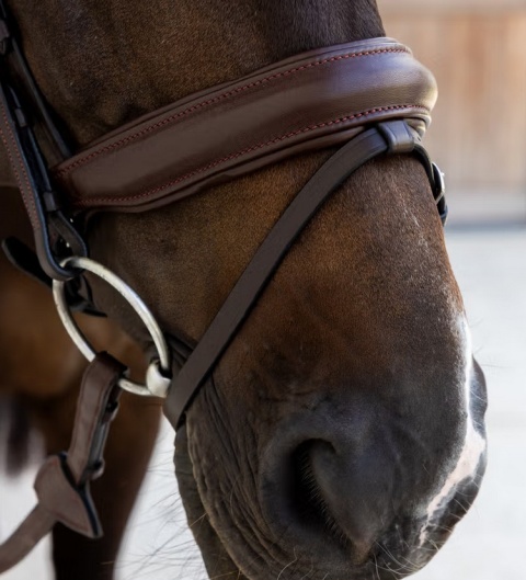 Ogłowie Dy'on Soft Leather z nachrapnikiem kombinowanym