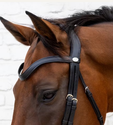 Ogłowie Dy'on Soft Leather z nachrapnikiem kombinowanym