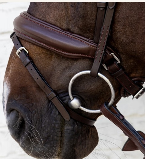 Ogłowie Dy'on Soft Leather z nachrapnikiem kombinowanym