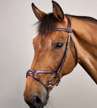 Ogłowie Dy'on z nachrapnikiem X-Fit New English