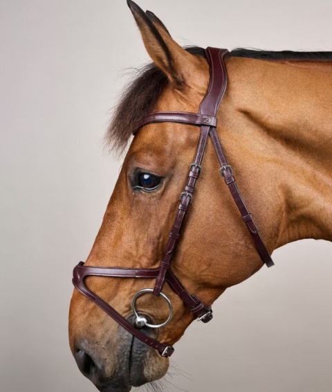 Ogłowie Dy'on z nachrapnikiem X-Fit New English