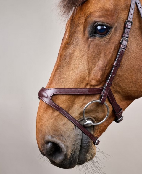 Ogłowie Dy'on z nachrapnikiem X-Fit New English