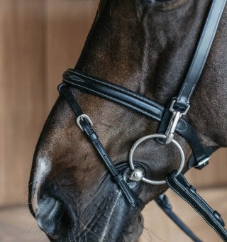 Ogłowie Dy'on z nachrapnikiem angielskim Working-bez podgardla