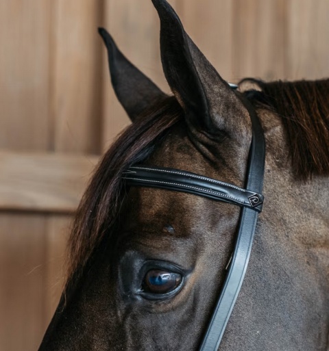 Ogłowie Dy'on z nachrapnikiem angielskim Working-bez podgardla
