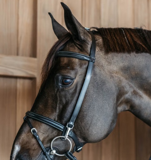 Ogłowie Dy'on z nachrapnikiem angielskim Working-bez podgardla