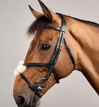 Ogłowie Dy'on z nachrapnikiem meksykańskim New English