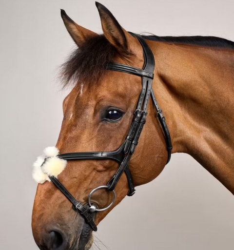 Ogłowie Dy'on z nachrapnikiem meksykańskim New English