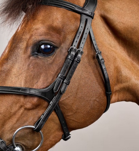 Ogłowie Dy'on z nachrapnikiem meksykańskim New English