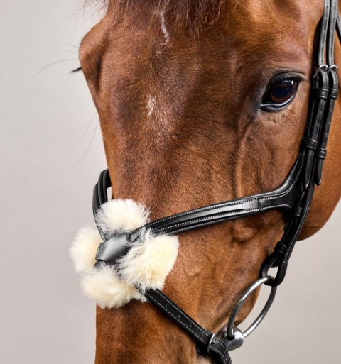 Ogłowie Dy'on z nachrapnikiem meksykańskim New English