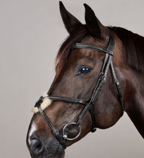 Ogłowie Dy'on New English z nachrapnikiem meksykańskim i plecionką