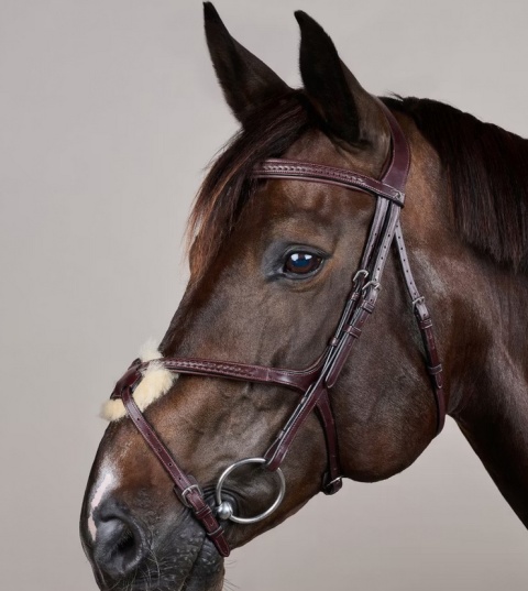 Ogłowie Dy'on New English z nachrapnikiem meksykańskim i plecionką