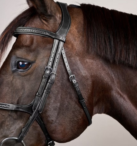 Ogłowie Dy'on New English z nachrapnikiem meksykańskim i plecionką