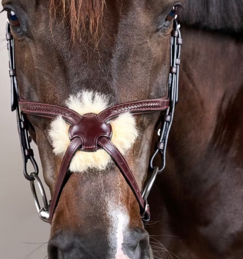 Ogłowie Dy'on New English z nachrapnikiem meksykańskim i plecionką