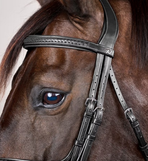 Ogłowie Dy'on New English z nachrapnikiem meksykańskim i plecionką