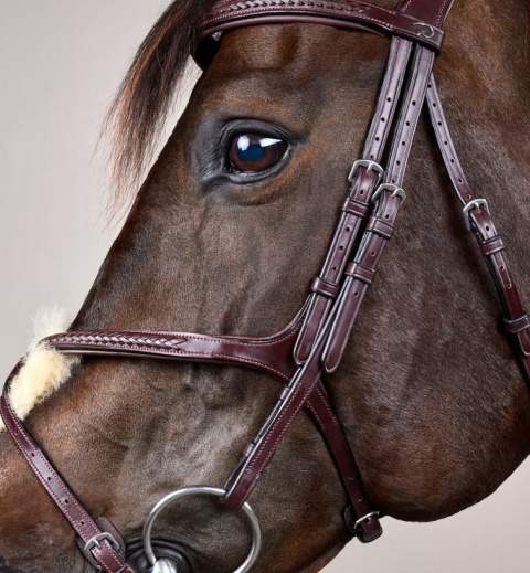 Ogłowie Dy'on New English z nachrapnikiem meksykańskim i plecionką