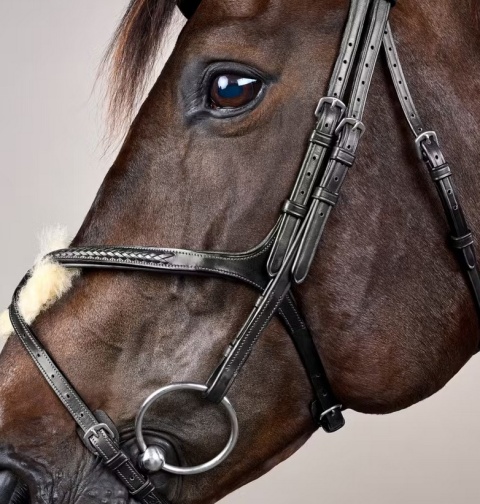 Ogłowie Dy'on New English z nachrapnikiem meksykańskim i plecionką